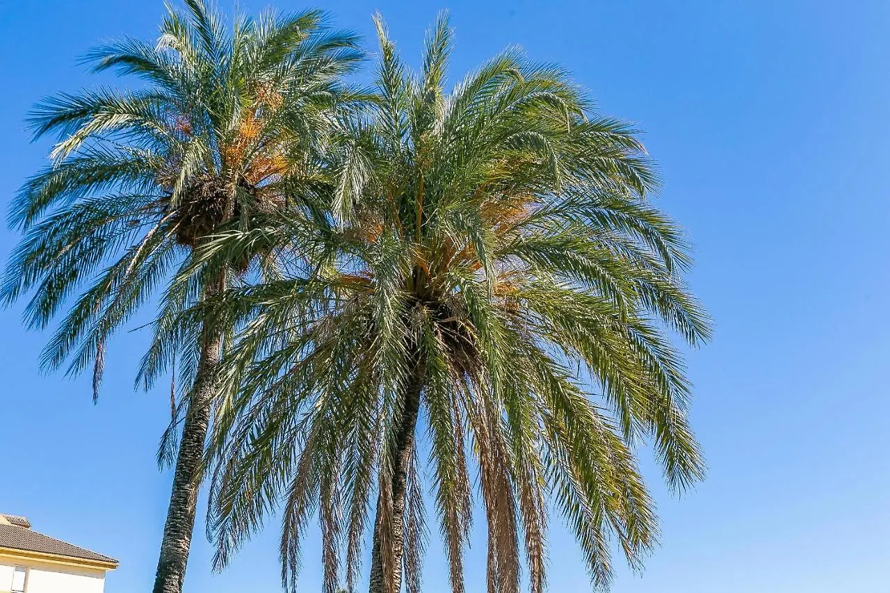 Benalbeach Immo Benalmádena Spanyolország